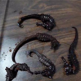 657683b78e9f094b25338f51 1024