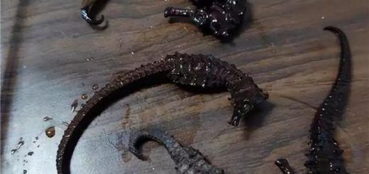 657683b78e9f094b25338f51 1024