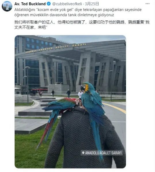 20240331 233645