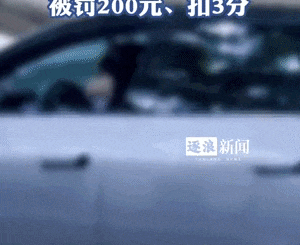 上海一辆汽车驾驶位上坐着宠物犬并使用自动泊车