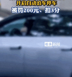 上海一辆汽车驾驶位上坐着宠物犬并使用自动泊车