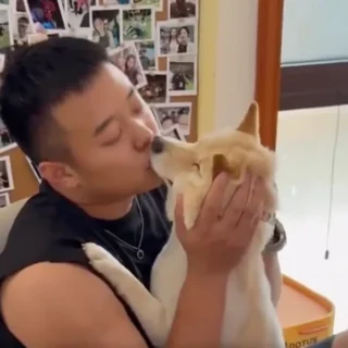 男子误食野生菌后抱着爱犬亲吻