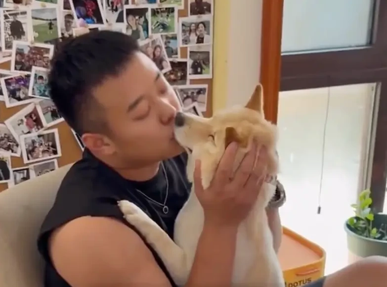 男子误食野生菌后抱着爱犬亲吻